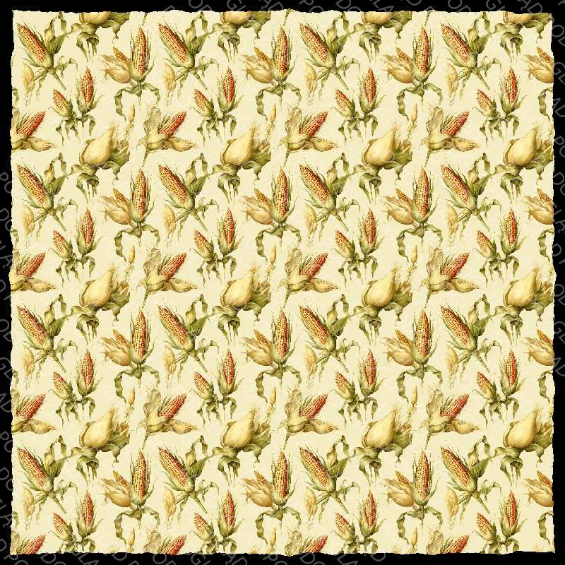 Corn Pattern
